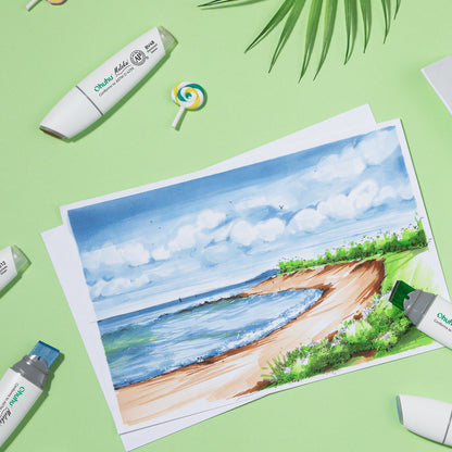 Ohuhu Smart Buy - Molokai Four Tones Extra-wide Tip Alcohol Art Markers